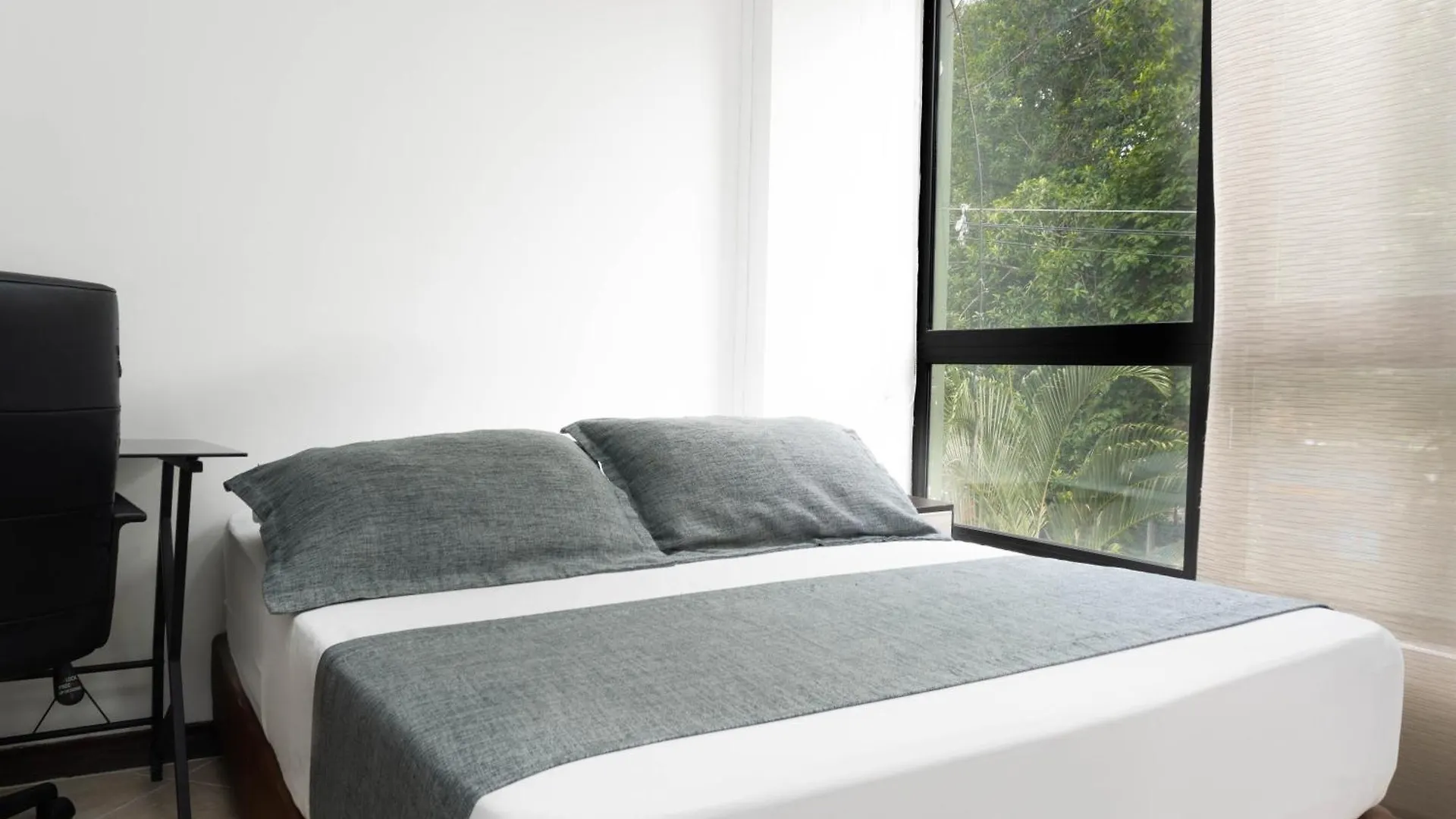 Hotel Palo Alto Laureles Medellín
