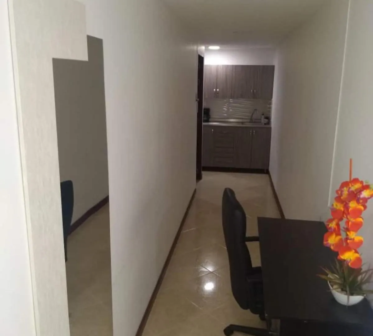 Hotel Palo Alto Laureles Medellín